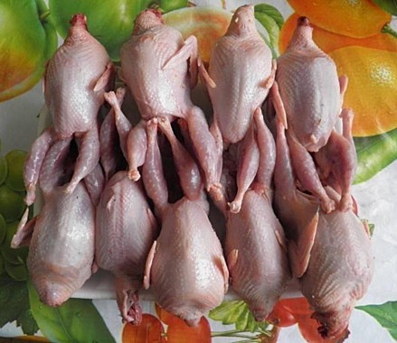 Перепел Суповой